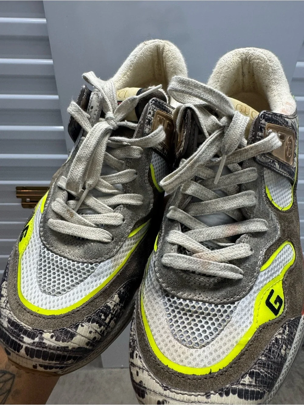 Gucci Men's Multicolor Tejus Printed size Gucci 8.5